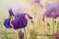 Kathleen Giles Award in Memory of James H. Dolan for Floral: Jeanette Woodward, My Iris