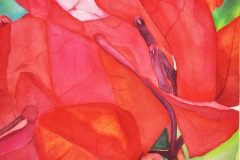 Margaret Martin Award, Vicki OReilly, Paper Flower