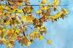 Third Place Award: Yellow Leaves by Leslie Calimeri