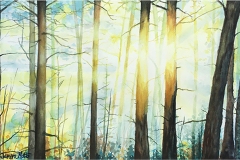 Judge's Choice Award Winner, Morning Reboot by Janine Motto
