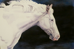 Second_Prize.Brenda_Cretney.Trot-On.web_