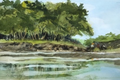 Bemisderfer-Robert_Cruising-the-Amazon_15x22