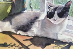 Herion-Aline_Catnap_13x20