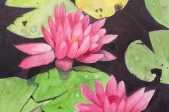 Wilson-Rebecca_pink-water-lilies_11x15