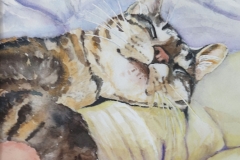 Brenda Cretney's Bliss, 23" x 16", $500