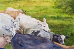 Doreen Boyer DeBoth's Ten Grazing Cows, 19" x 23.5", $850