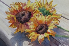 Barbara Fox's 3 Crowns, 18" X 20", $650