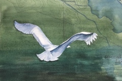 Sandra Ludwig's Flying High, 17" X 21",  $400
