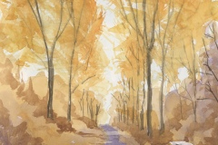 Dan McGrath's Quiet Walk, 11" X 14",  $160