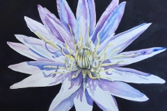Janine Motto's Light from the Murkiest,22" X 25", $450