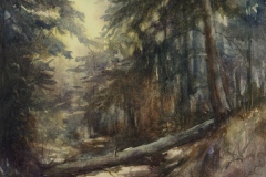 Martha Rogala's Morning Hike at Chestnut Ridge,16" X 20", $300