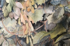 Sally Treanor's What Seed is This?, 17" X 21", $850