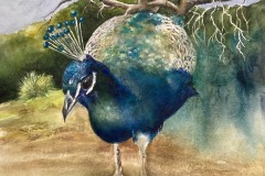 Board of Directors Award - Susan Liddell's "Lokrum Island Beauty"