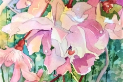 Ric Feeney's "Floral Chorus", 11x14, $650