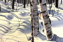 Shelley Prior's "Winter Birches", 11x15, $500