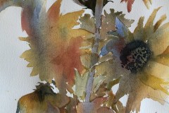 Sally Treanor's, "Sunspot", 11x15, $750