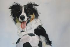 Judge's Choice Award: Brenda Cretney's "Ollie"