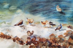 Debra Meier, Gulls on Ice, image size 4.5 x 6, $300