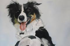 Brenda Cretney, Ollie, image size 14x16, $750