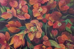 Carol Case Siracuse, Lenten Rose, image size 9x12, $600