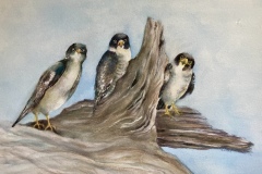 Susan Liddell, Curly, Larry and Moe!, image size  25 x 18, $350