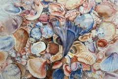 Judy Tannenhause, Shells, 28 x 22, $450