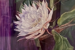 Pamela  Vogan Lynch, Night Queen, 20.5 x 24.5, $850