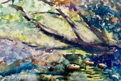 Sharon Cassidy Fundalinski, Along Sprague Brook ,8 x 10, $200