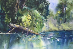 Jody Ziehm,  Safari on the Erie Canal, 21 x 27, $450