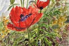 Jean Jain, Red Poppies, 22 x 17, $300