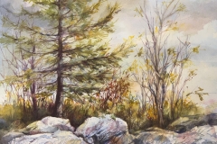 First Place Award , Louise Vacco, Rock On