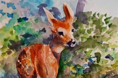 Judge’s Choice Award, Ric Feeney, August Fawn