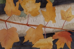 Gerry Fenclau, Birch Tree, 16 x 20, $200