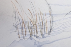 Janet Ide, Winter Weeds, 5 x 14, $400