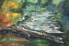 Quentin Eichbaum, Forest Stream, 22 x 26, $1,500