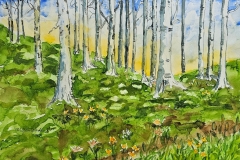 Mary Ann Sawyer Wade, Almost at the Summit, 15.x11.5, $500