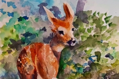 Ric Feeney, August Fawn, 22 x 28, $650