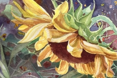 Carol Case Siracuse, Last Fall's Sunflower, 10 x 10, $400