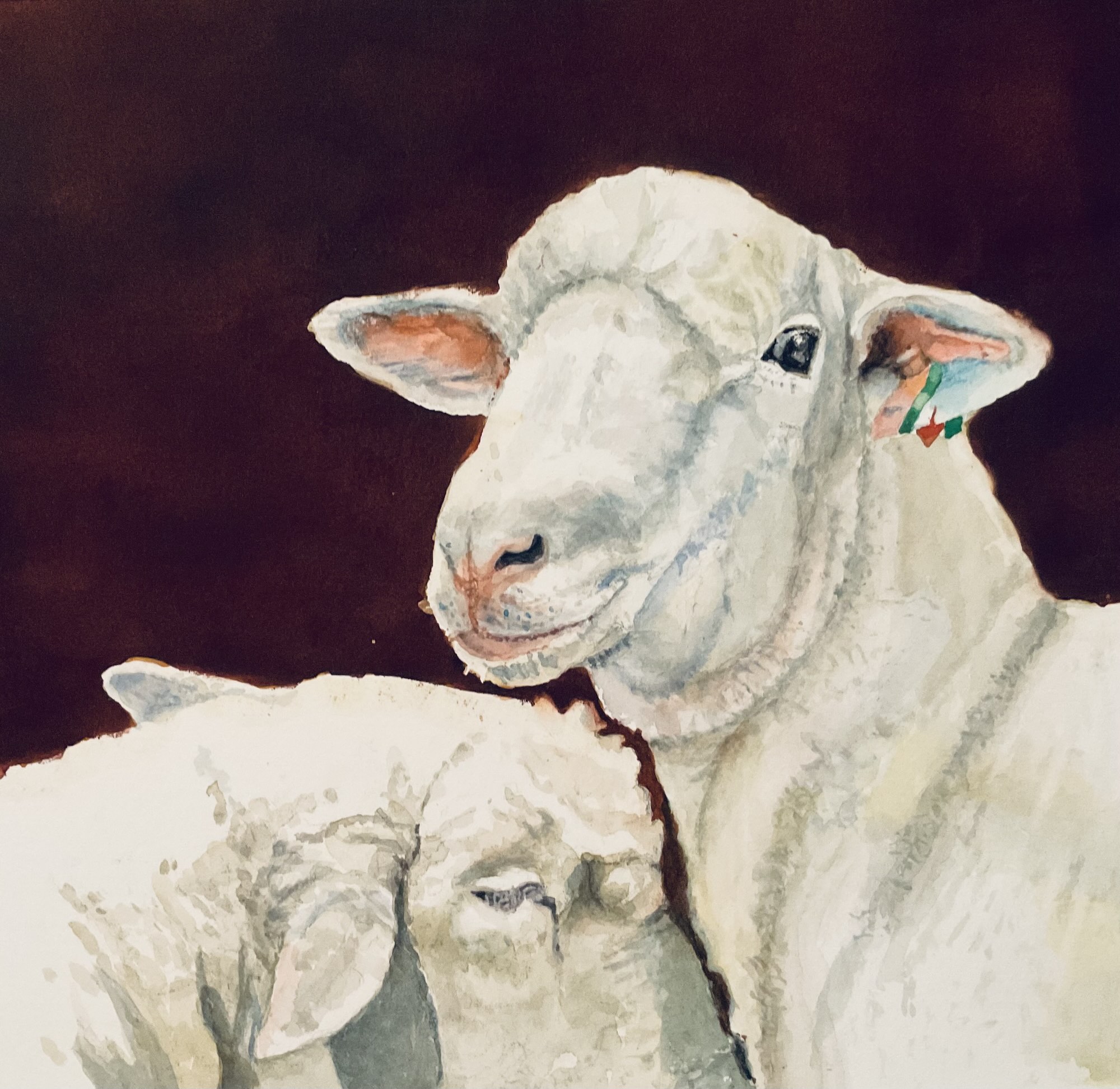 14-Brenda-Cretney-Sheep-800-