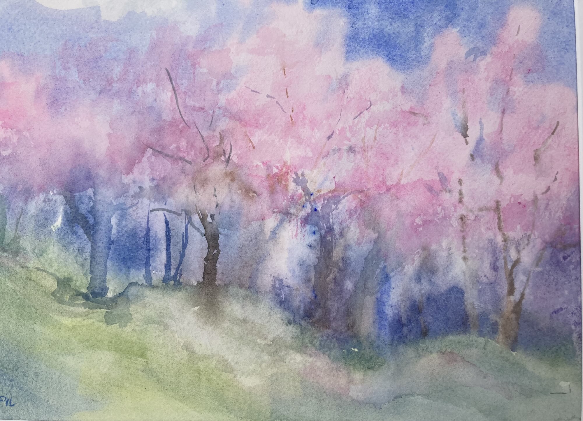 22-Diane-Goupil-Cherry-Blossoms-200
