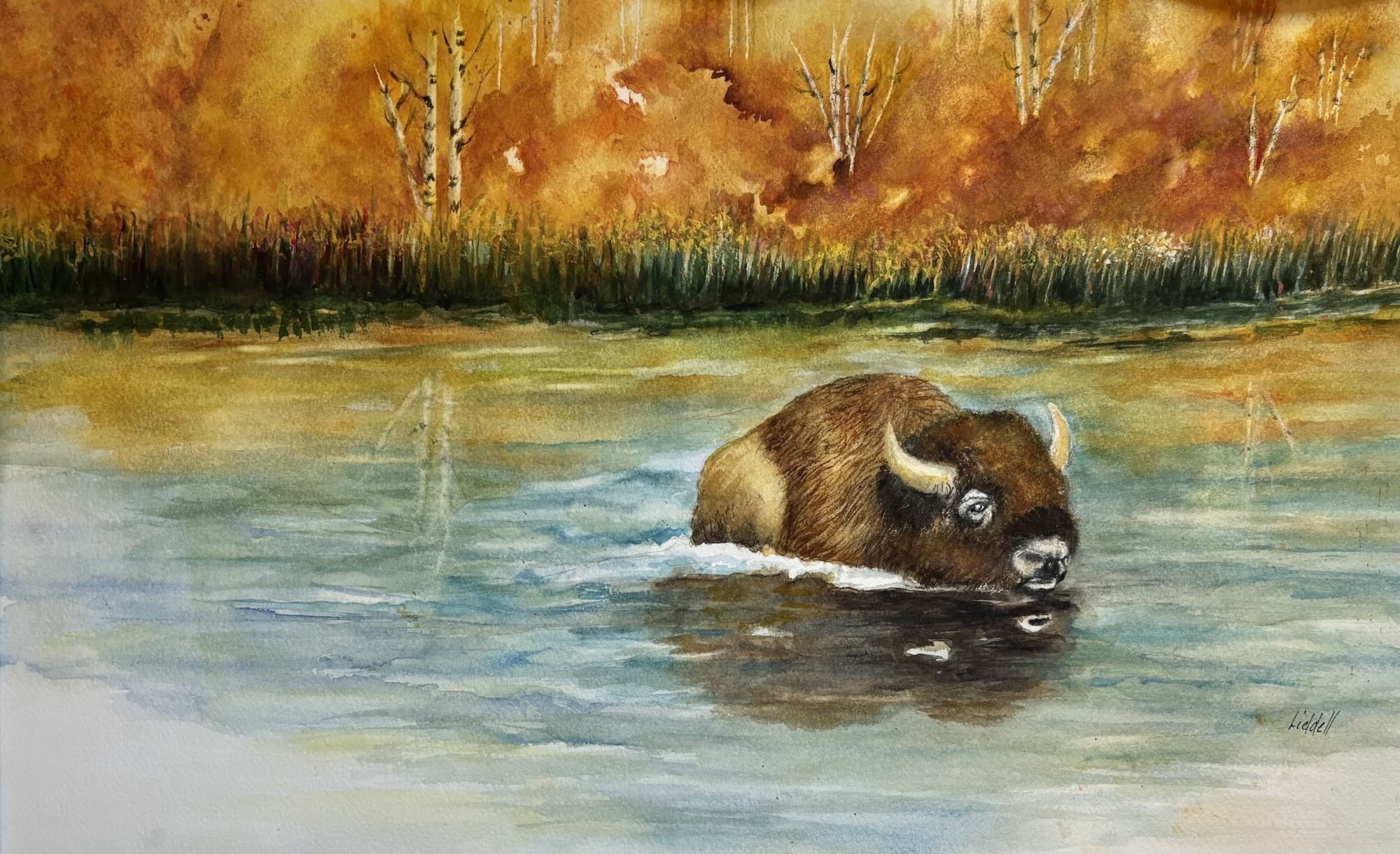 34 Susan Liddell - A Bison’s Journey - $350