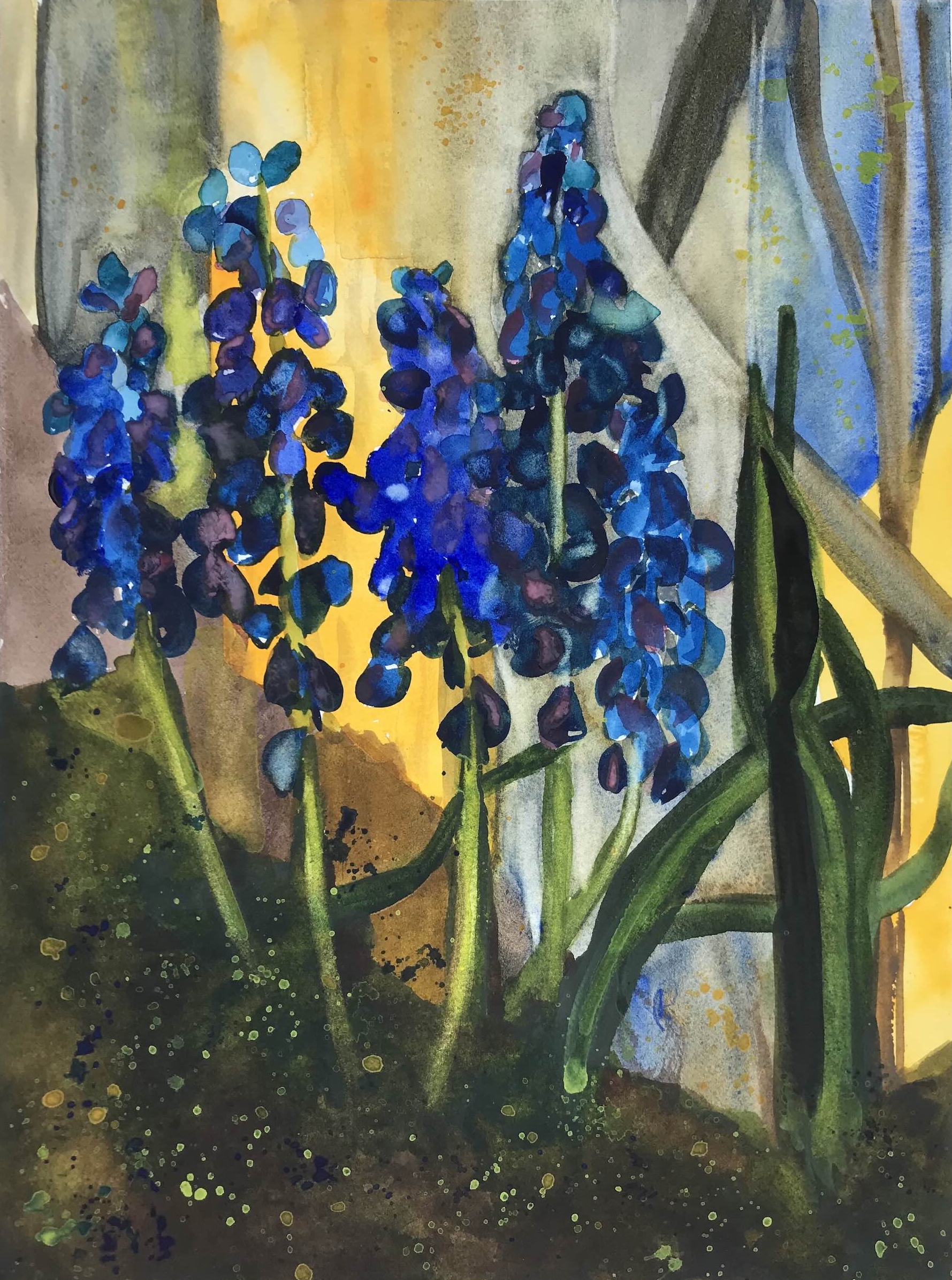 45-Heidi-Reed-Volunteer-Grape-Hyacinths-145