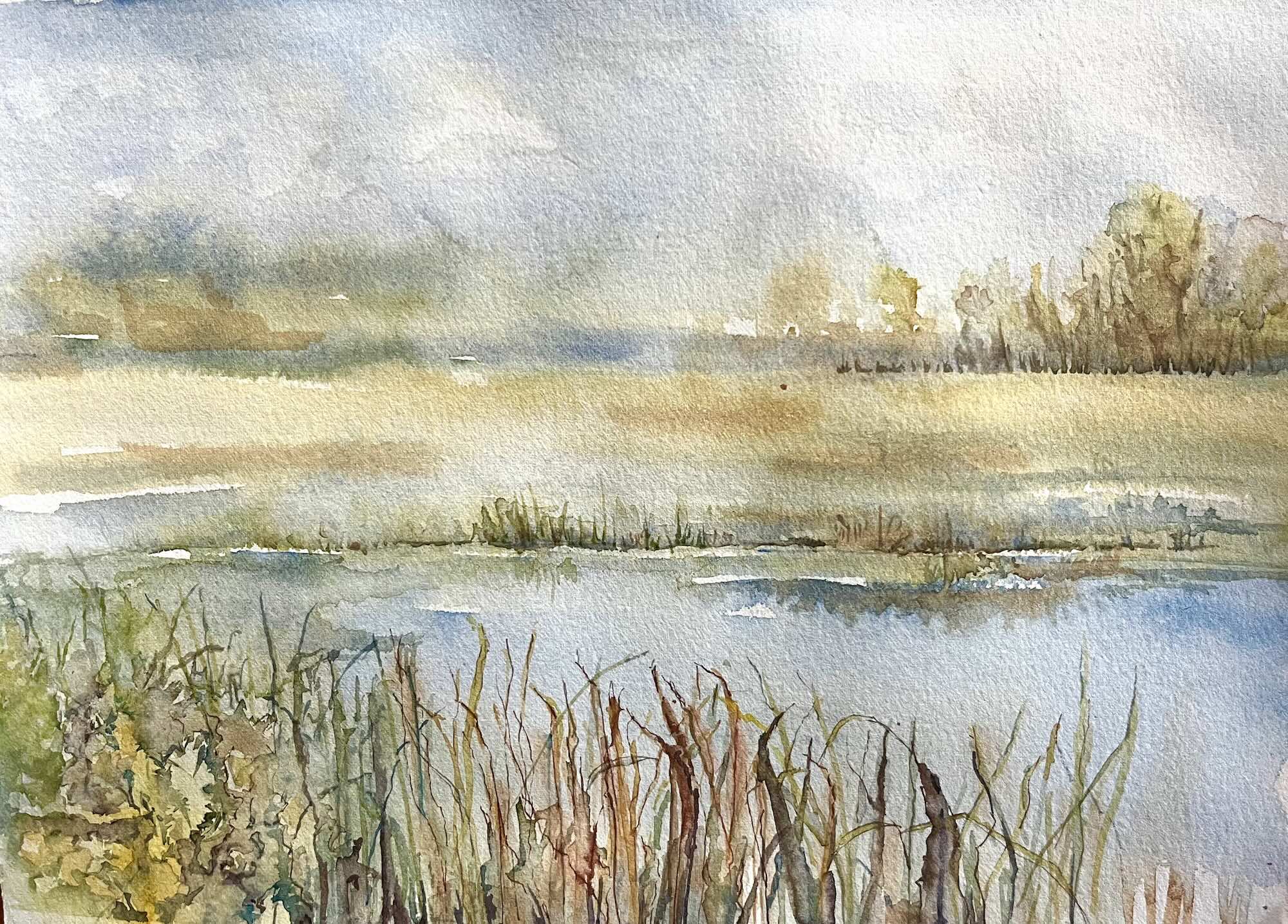 49-Audrey-Ross-Sanders-Grasslands-450