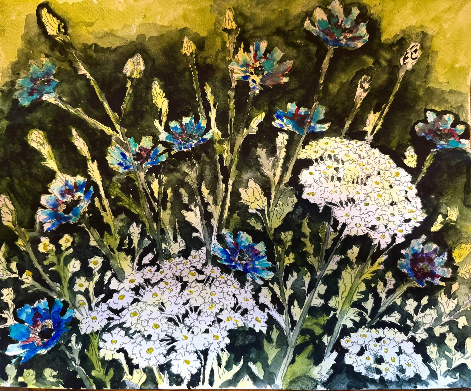 57-Mike-Wickham-Queen-Annes-Lace-250