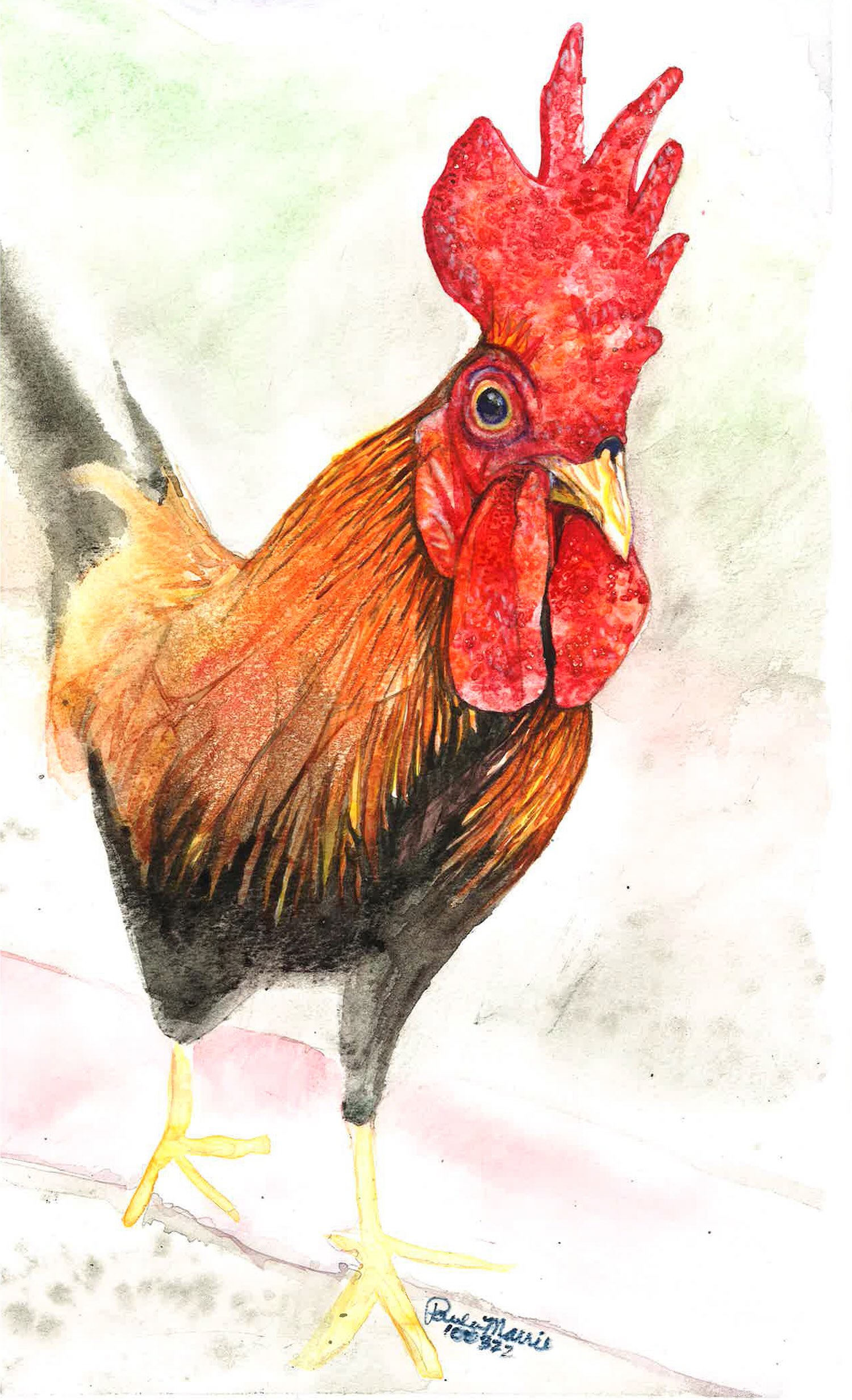 7-Paula-Borkowski-Puerto-Rican-Street-Rooster-150