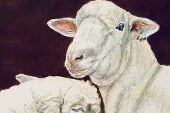14-Brenda-Cretney-Sheep-800-