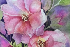 25-Patty-Harmsen-Secret-Garden-Hollyhocks-250