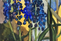 45-Heidi-Reed-Volunteer-Grape-Hyacinths-145
