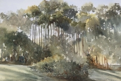 47-Martha-Rogala-Afternoon-Light-at-Jarvis-Creek-Park-375
