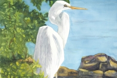 59-Jeannette-Woodward-Edgar-the-Egret-400